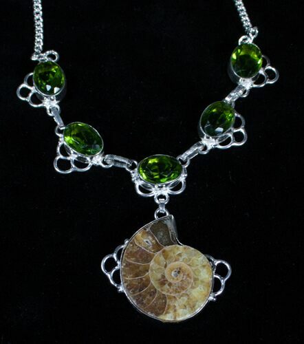 Fossil Ammonite Necklace #3369